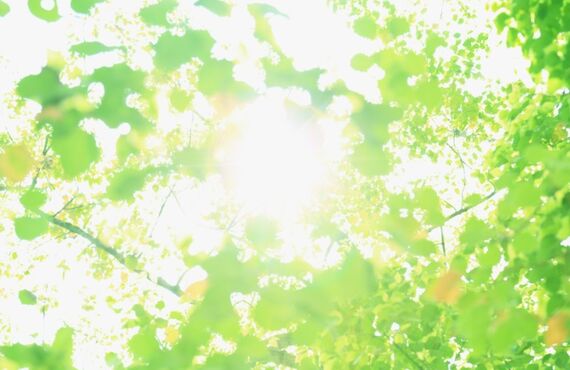 頭皮に優しい植物性オーガニックカラー　草加　TReiSトレイス